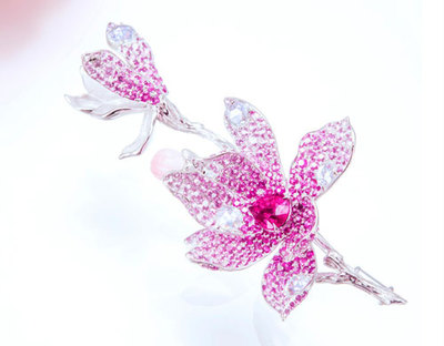 中國珠寶玉石首飾行業(yè)協(xié)會(huì)